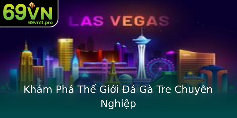 Khám Phá Thế Giới Đá Gà Tre Chuyên Nghiệp Khám Phá Thế Giới Đá Gà Tre Chuyên Nghiệp