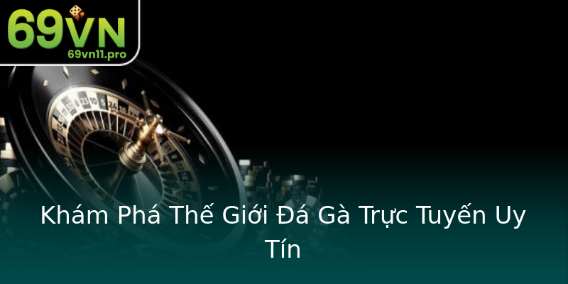Khám Phá Thế Giới Đá Gà Trực Tuyến Uy Tín Khám Phá Thế Giới Đá Gà Trực Tuyến Uy Tín