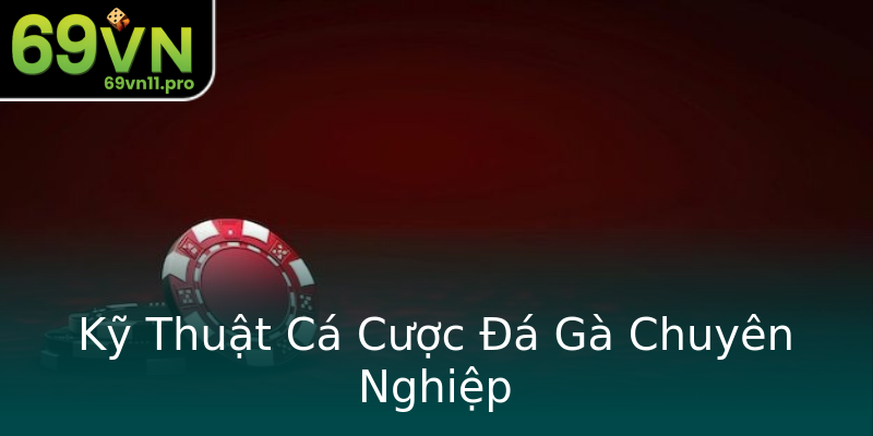 Kỹ Thuật Cá Cược Đá Gà Chuyên Nghiệp Kỹ Thuật Cá Cược Đá Gà Chuyên Nghiệp