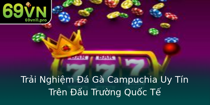 Trải Nghiệm Đá Gà Campuchia Uy Tín Trên Đấu Trường Quốc Tế Trải Nghiệm Đá Gà Campuchia Uy Tín Trên Đấu Trường Quốc Tế