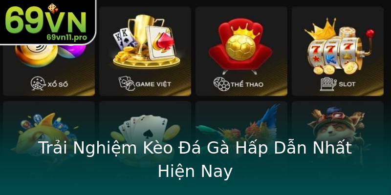 Trải Nghiệm Kèo Đá Gà Hấp Dẫn Nhất Hiện Nay Trải Nghiệm Kèo Đá Gà Hấp Dẫn Nhất Hiện Nay